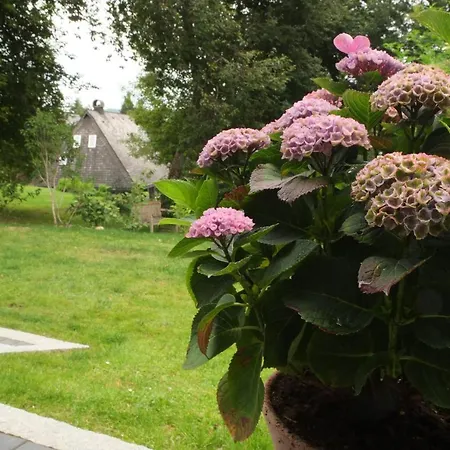 Appartamento Am Mattenweg *