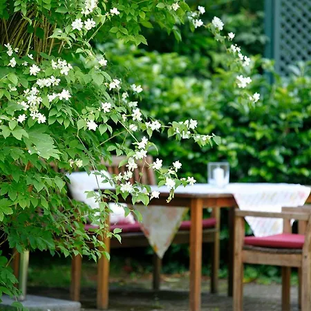 Am Mattenweg Appartamento Hinterzarten