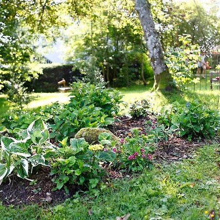 Am Mattenweg Appartamento