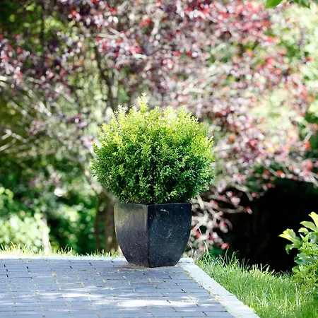 Am Mattenweg * Hinterzarten