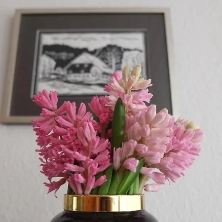 Am Mattenweg * هينترتزارتن