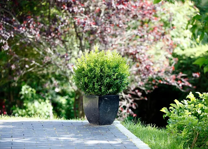 Am Mattenweg * Hinterzarten